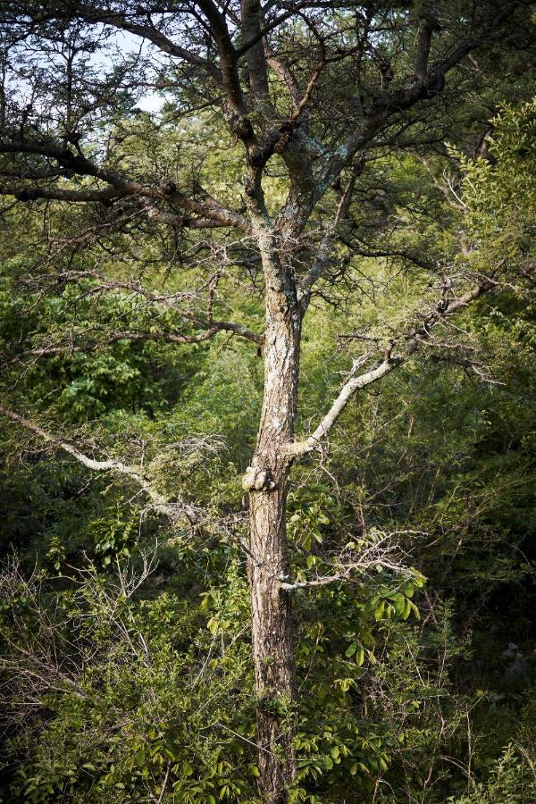 Letamo At Qwabi Private Game Reserve By Newmark Bela-Bela Dış mekan fotoğraf